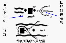 ż(li��n)���ڟ����;ۺ���N������